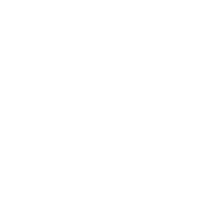 Kayak Icon
