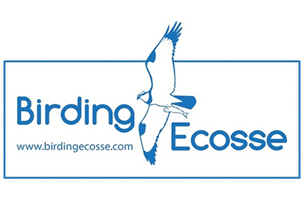 Birdingecosse