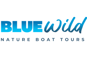 Bluewild