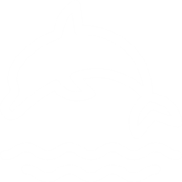 Dolphin Icon